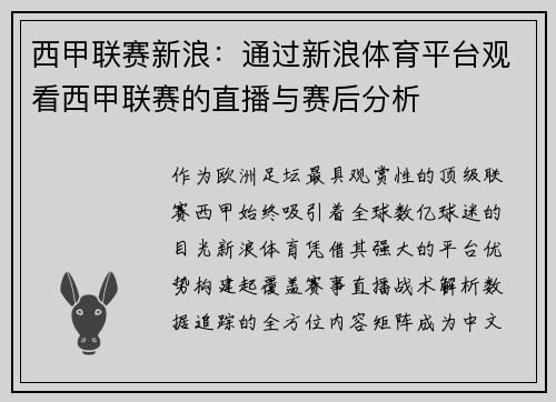 西甲联赛新浪：通过新浪体育平台观看西甲联赛的直播与赛后分析
